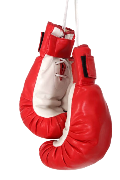 СпортХаб – свежие спортивные новости онлайн